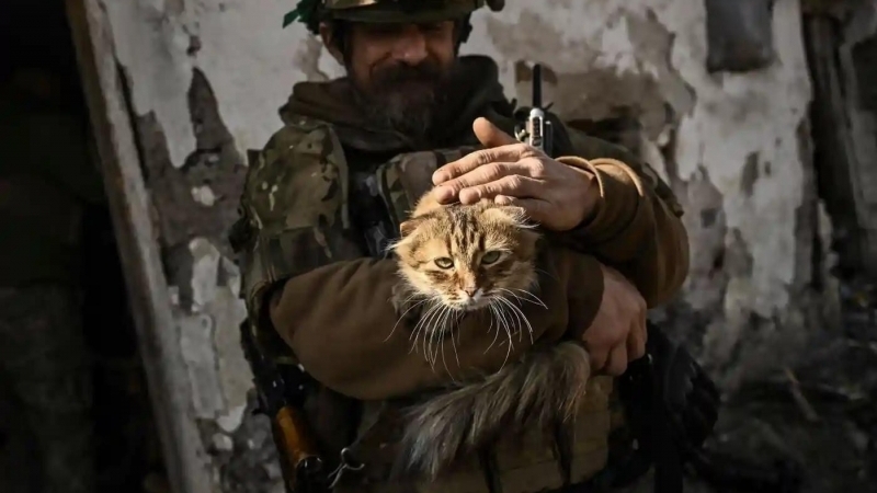 Un soldat ucrainean îngrijește o pisică în Bahmut, locul celor mai dure confruntări, din ultimele luni, între armata ucraineană și cea rusă