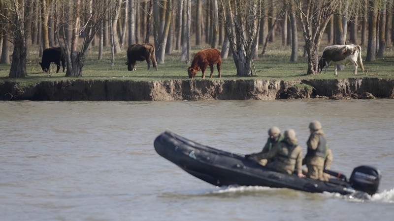 Fotografia dimineții este de la exercițiul multinaţional Sea Shield, care a avut loc în Delta Dunării, în această săptămână