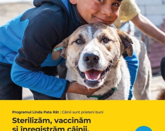 Anca GEORGESCU | APEL LA VOLUNTARI  