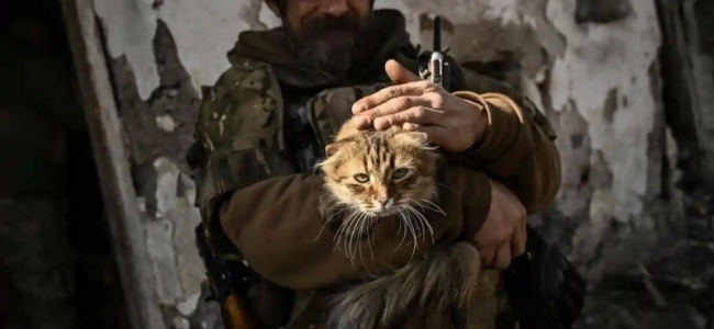 Un soldat ucrainean îngrijește o pisică în Bahmut, locul celor mai dure confruntări, din ultimele luni, între armata ucraineană și cea rusă