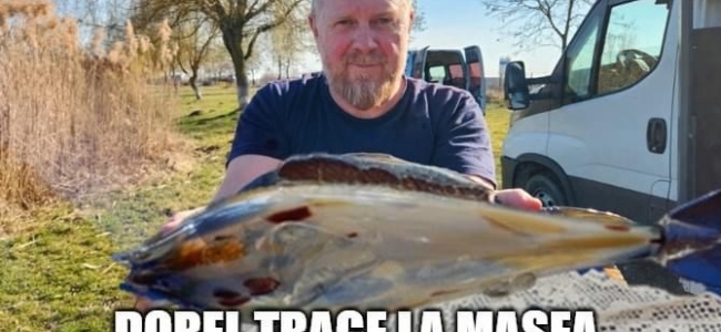 CÂMPIA TURZII | Dorel trage la măsea și peștele la mileu